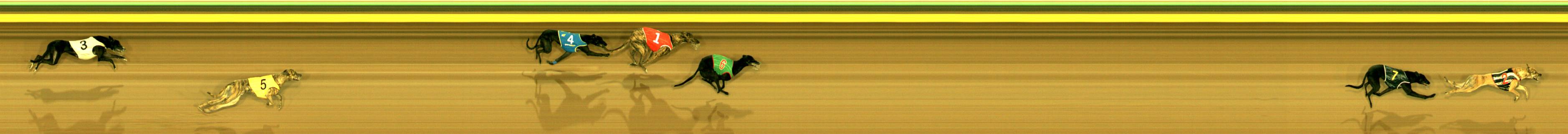 Race result finish photo